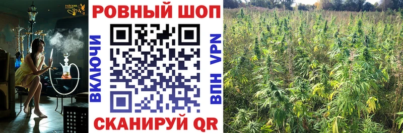 Магазины продажи наркотиков Шацк Cocaine МЕФ Галлюциногенные грибы Каннабис