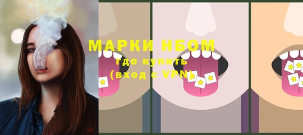 ПСИЛОЦИБИНОВЫЕ ГРИБЫ Алексеевка